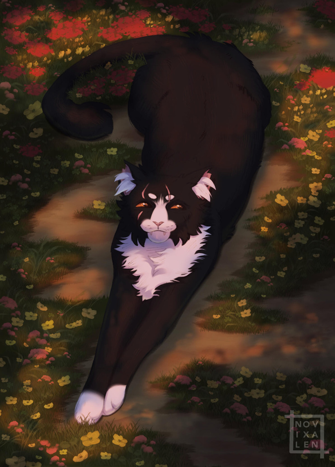 artfight attack for autumnal_ninja