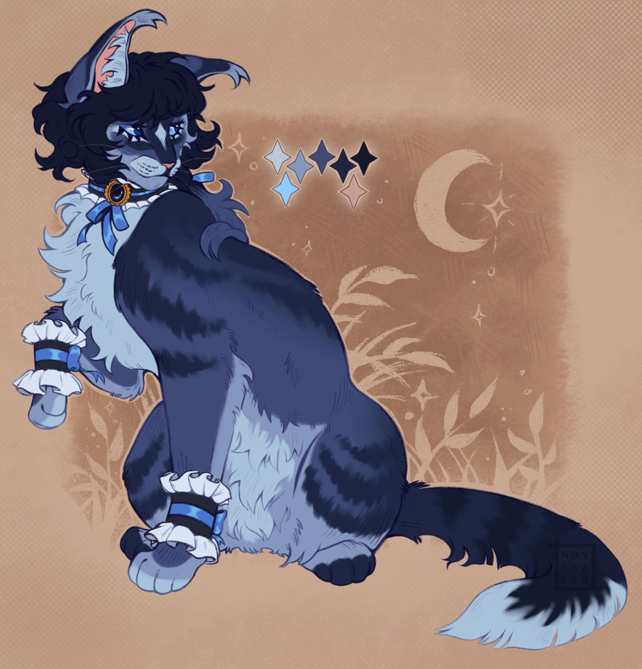 design commission for amity